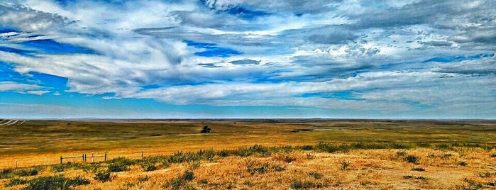 Buffalo Gap National Grassland is one of National Recreation Areas.
