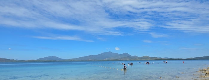 Starfish Island is one of palawan.