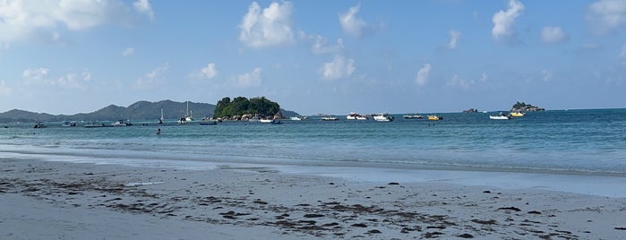 Anse Volbert is one of Praslin Island 🌴 Seychelles 🇸🇨.