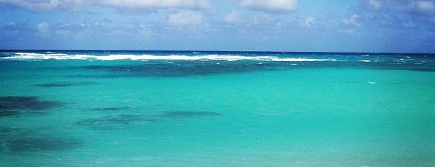 Anegada Island is one of Arjunさんのお気に入りスポット.