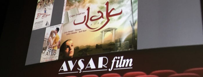 Avşar Sinemaları is one of İstanbul'un sinemaları.