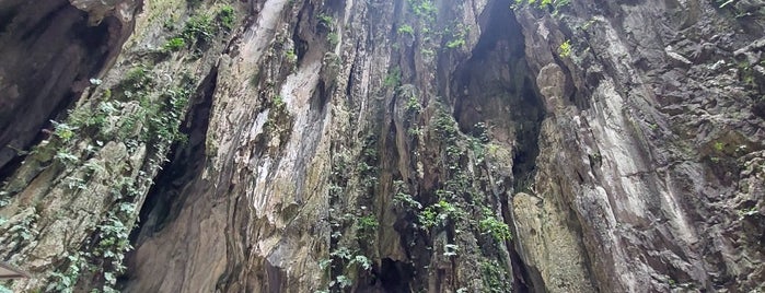 Sree Hanuman Temple , Batu Caves is one of Malaysia HotSpots.