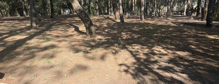 Parque Axomiatla is one of Para correr o descansar.