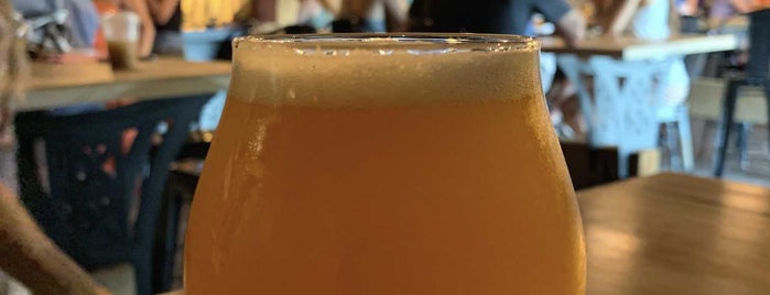 Hidden Springs Ale Works is one of Beer time.