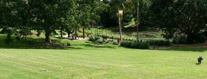 Russell Family Park is one of Sunny Coast sights and delights.