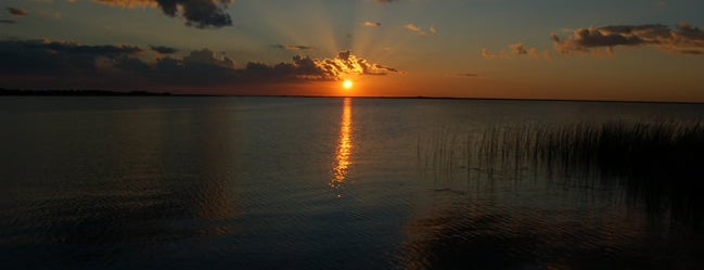 Esteros del Iberá is one of Litoral (AR).