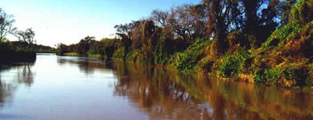 Parque Nacional Pre-Delta is one of Litoral (AR).