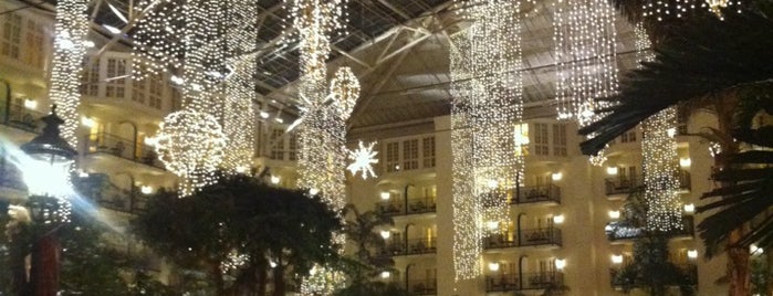 Gaylord Opryland Resort & Convention Center is one of Things to do in & around Clarksville, Tennessee.