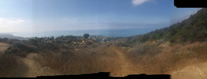 Los Liones Trailhead - Coyotes is one of Orte, die Mouni gefallen.