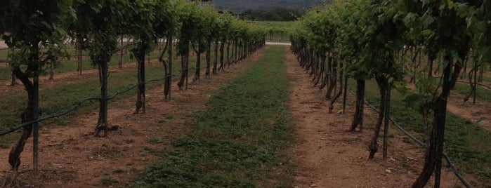 Perissos Vineyard & Winery is one of Texas Wine.