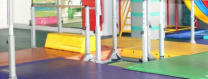 Little Monkey Gym is one of สถานที่ที่ karinarizal ถูกใจ.