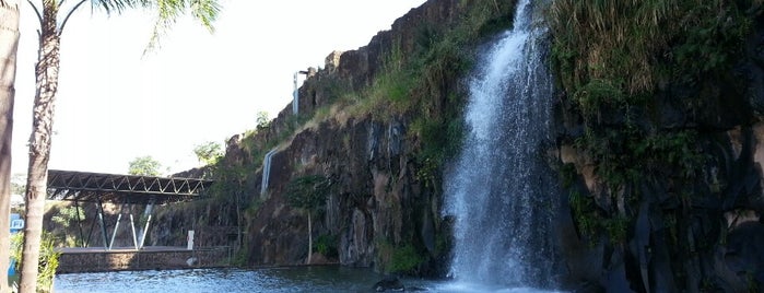 Parque Municipal Dr. Luiz Carlos Raya is one of Ribeirão.