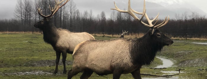 Alaska Wildlife Conservation Center is one of Anchorage.