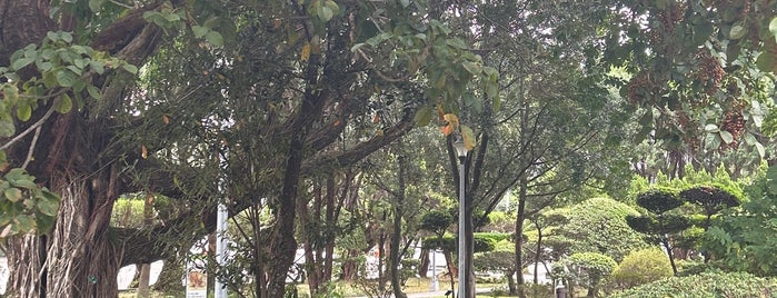 介壽公園 Jieshou Park is one of Robin'in Beğendiği Mekanlar.