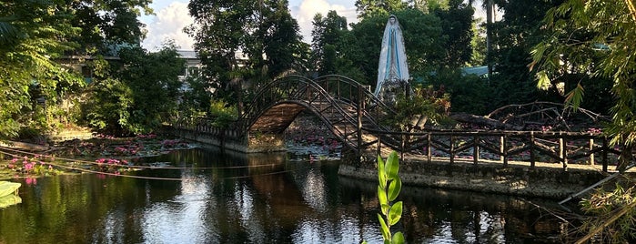 Argao Nature Park is one of Resorts.