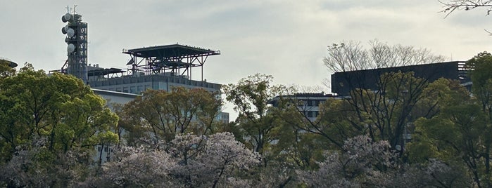 Nishinomaru Garden is one of Planning Osaka.