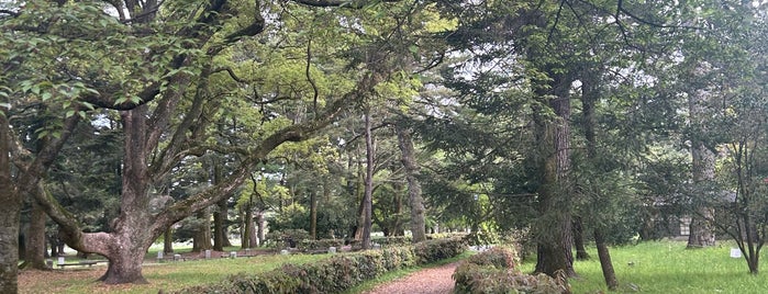 Kyoto Gyoen is one of 中世・近世の史跡.