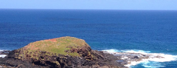 Kilauea Point National Wildlife Refuge is one of Kauai trip.