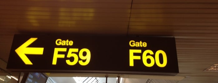 Gate F60 is one of SIN Airport Gates.