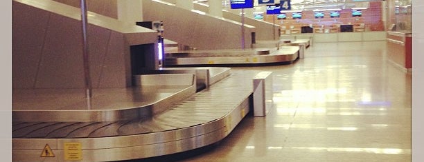 Baggage Claim Area (D) is one of Moskau.