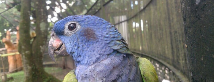 Bioparque Los Ocarros is one of Coñombia 2o17.