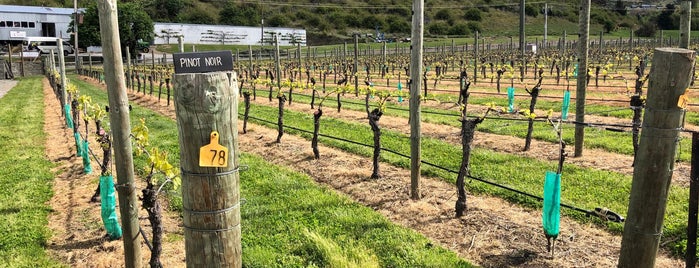 Brennan Wines Cellar Door is one of Andrew'in Beğendiği Mekanlar.