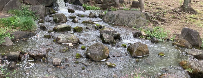 国会前庭和式庭園 (南庭) is one of 千代田区_2.