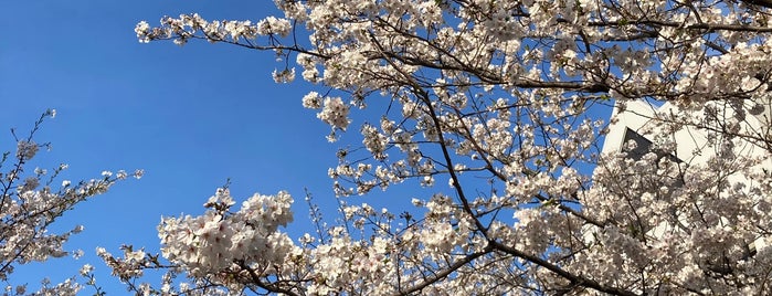 大井水神公園 is one of さくらさくら.