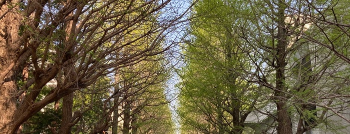 University of Tokyo Komaba Campus is one of よく行くところ.