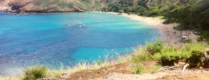 Hanauma Bay Nature Preserve is one of Oahu Attractions.
