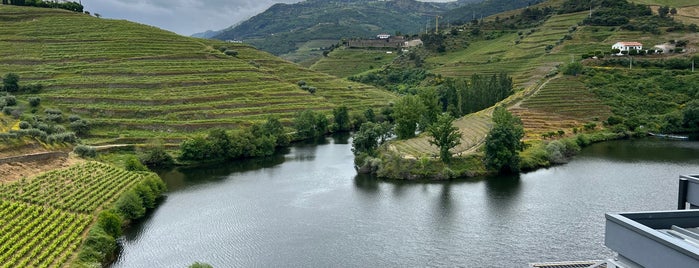 Quinta do Tedo is one of Duoro Valley.