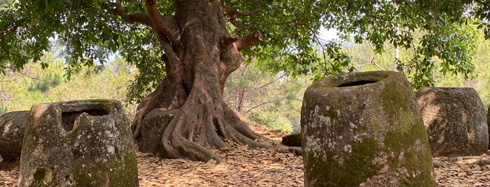 Plain of Jars Site 2 is one of สถานที่ที่ Fábio ถูกใจ.