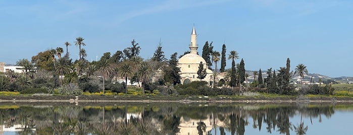 Larnaca Salt Lake is one of Cypruss (Кипр).