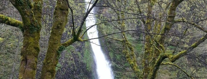 Horsetail Falls is one of Portlandia.