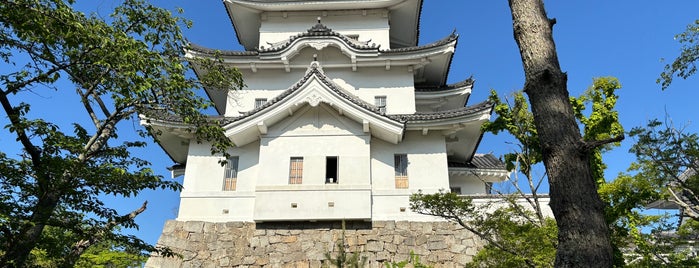Iga Ueno Castle is one of 城.