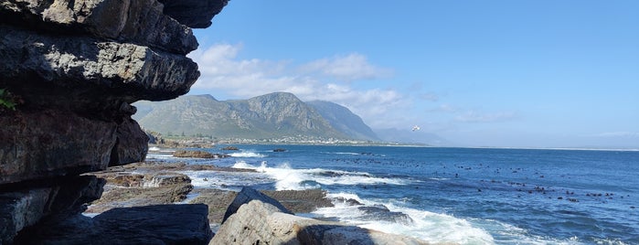 Bientang's Cave Restaurant Hermanus is one of Western cape road trip.