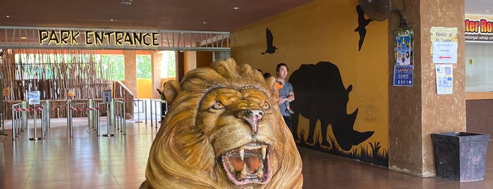 Bukit Gambang Safari Park is one of @Kuantan,Phg #4.