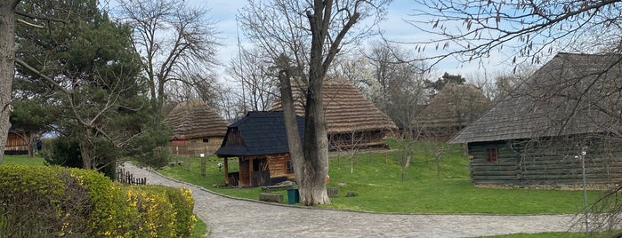 Закарпатський краєзнавчий музей is one of Uzhhorod.