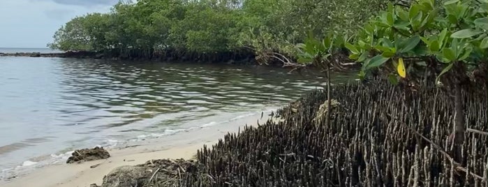 Key Vista Nature Park is one of Tampa.