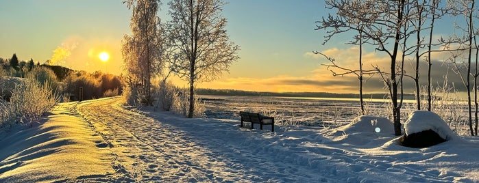 Elderberry Park is one of The 15 Best Places for Sunsets in Anchorage.