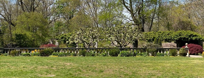 Fort Stamford Park is one of nature.