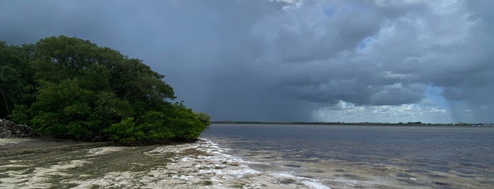 Robert Rees Beach is one of สถานที่ที่ Lizzie ถูกใจ.