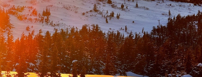 Flattop Park Trail is one of anchorage.