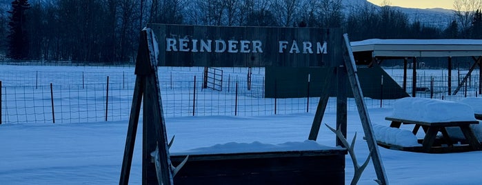 Reindeer Farm is one of Cool Sites/Places in Alaska.