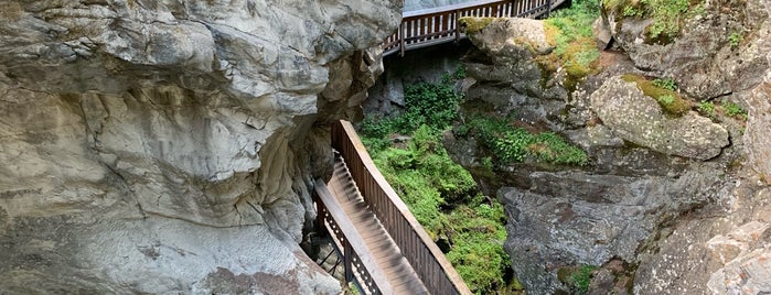 Gornerschlucht is one of Yさんのお気に入りスポット.