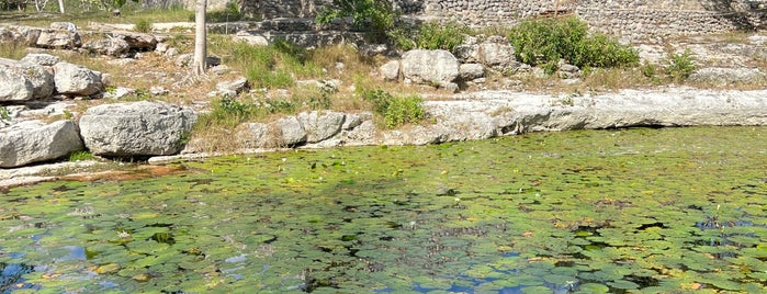 Cenote Xlakah | Dzibilchaltun is one of Mexico.