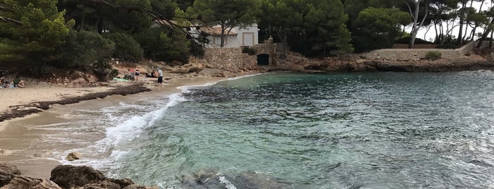N'Aladern is one of You, beach! (Mallorca).