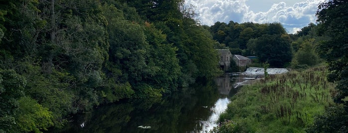 Pollok Country Park is one of Glasgow.