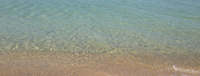 Tiburon Beach is one of Voyage en Sicile.