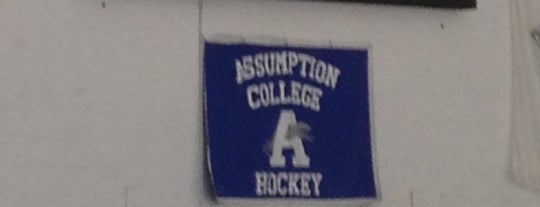 Buffone Hockey Rink is one of NCAA Hockey Rinks.